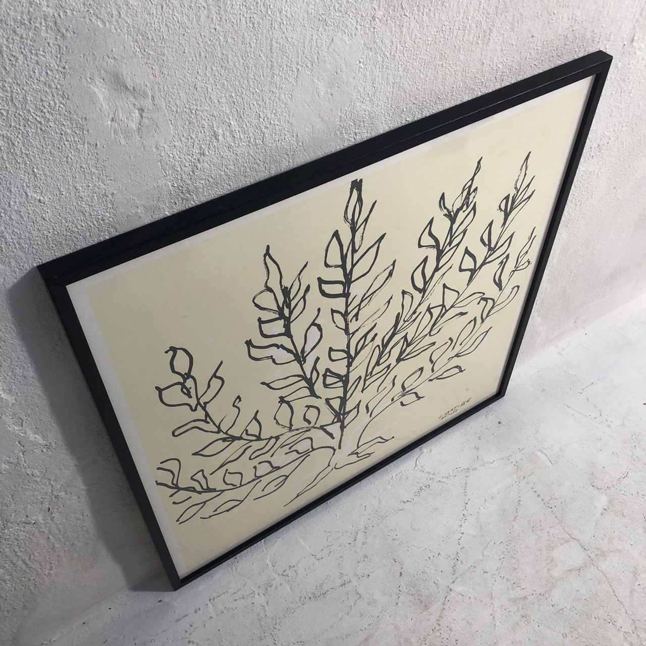 Henri Matisse Le platane. アンリ・マティス 低木 リトグラフ 詳細2
