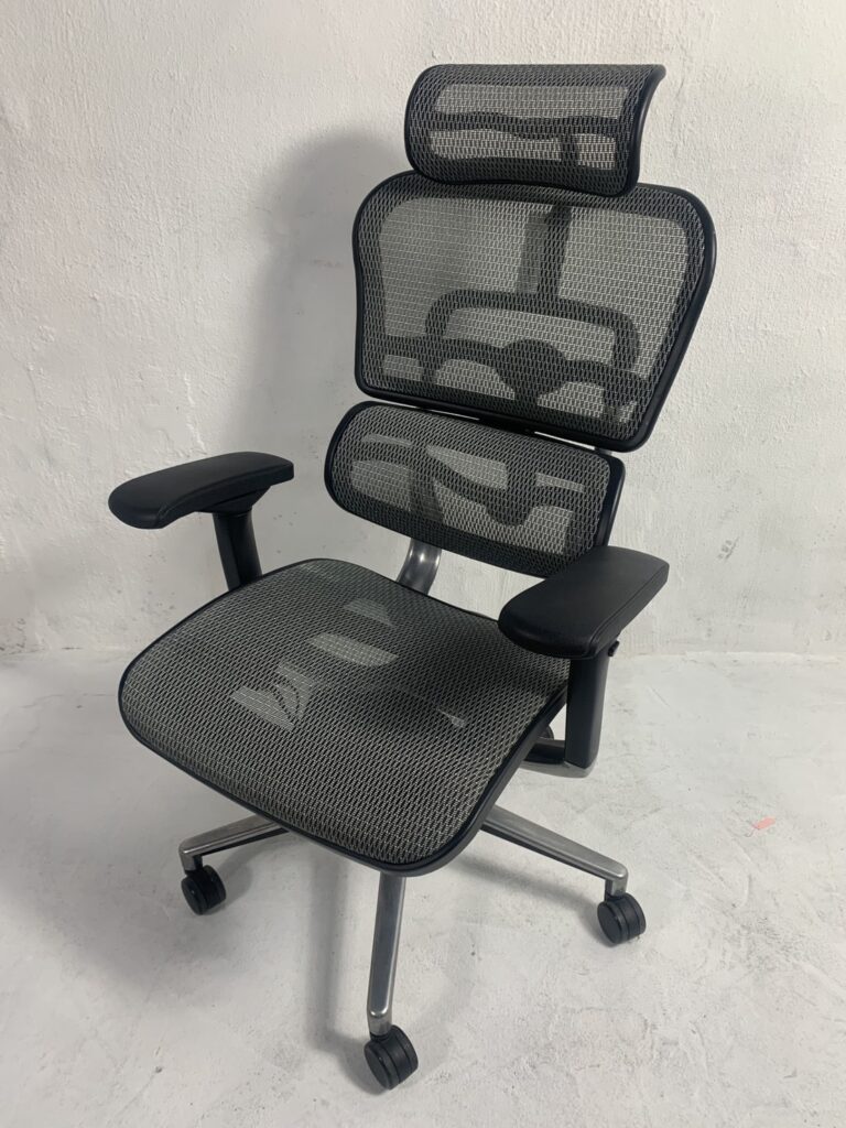 Ergohuman basic mesh chair